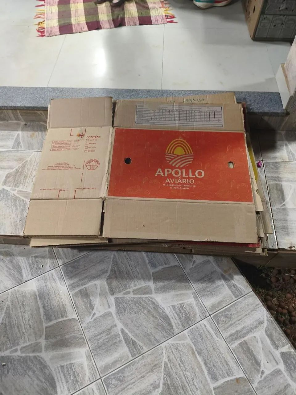 Caixa para Mudança - Utilizada para uma mudança 