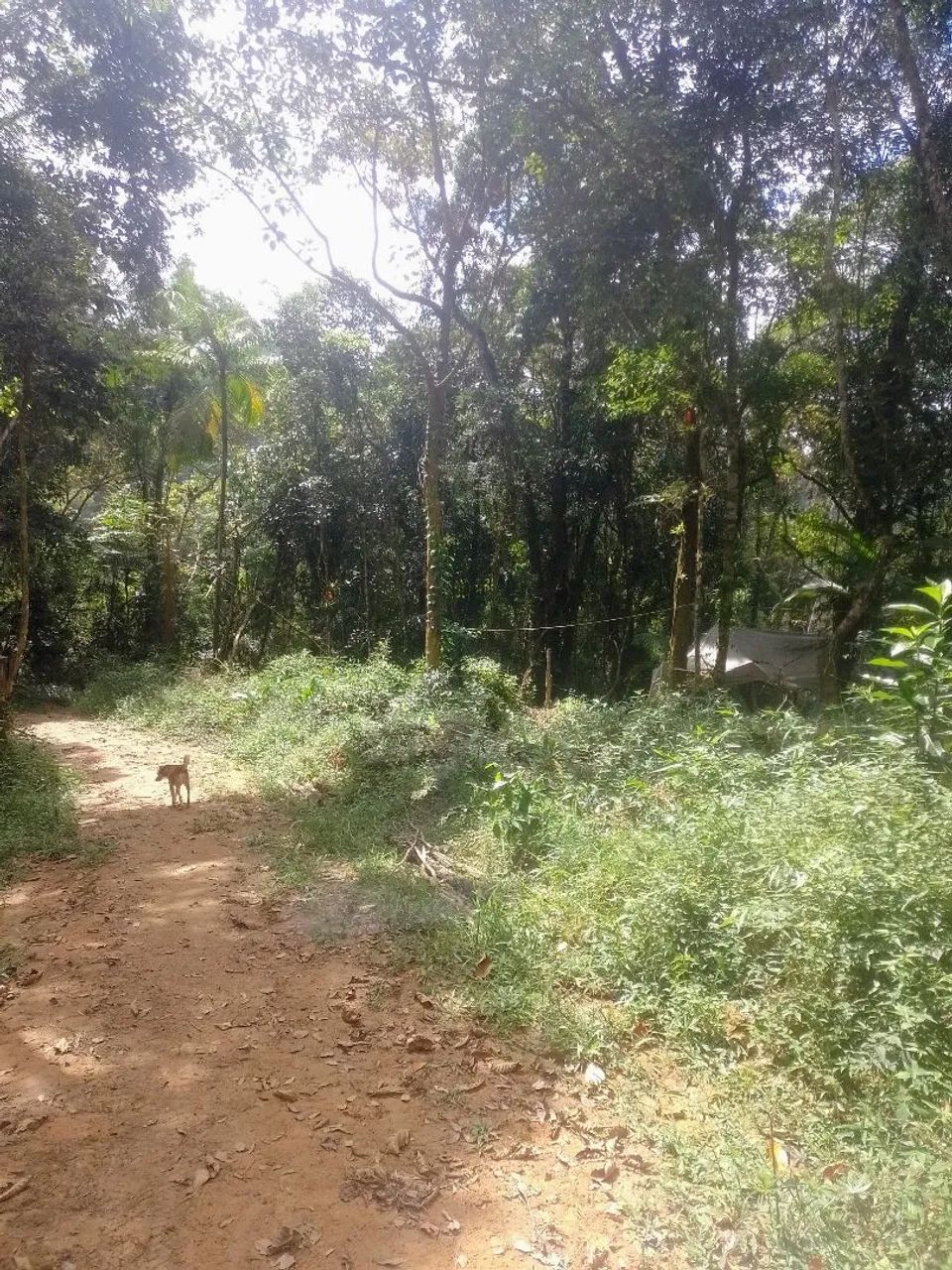 Terreno em Camboriú 50 mil  - Foto 3