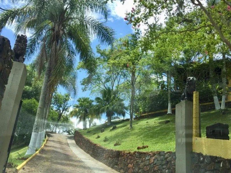 CHACARA EM CRICIUMA - Foto 2