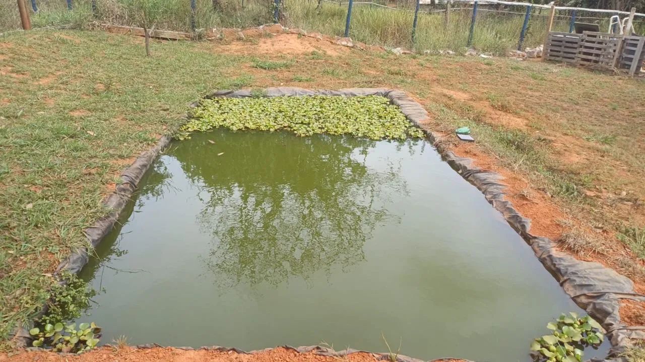 Vendo Paraíso em Luziânia  - Foto 4