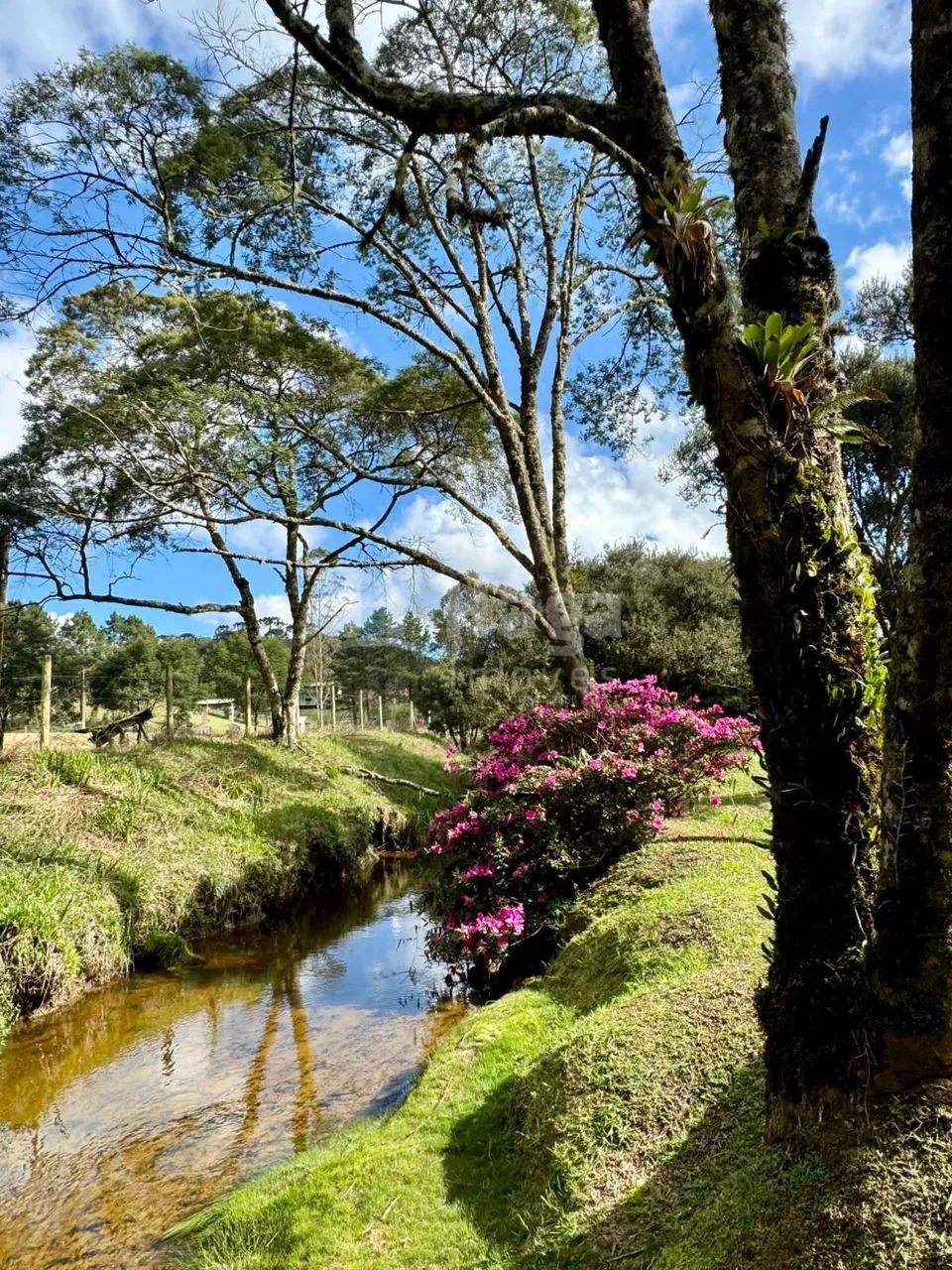 Sítio à venda em Rancho Queimado/SC - Foto 5