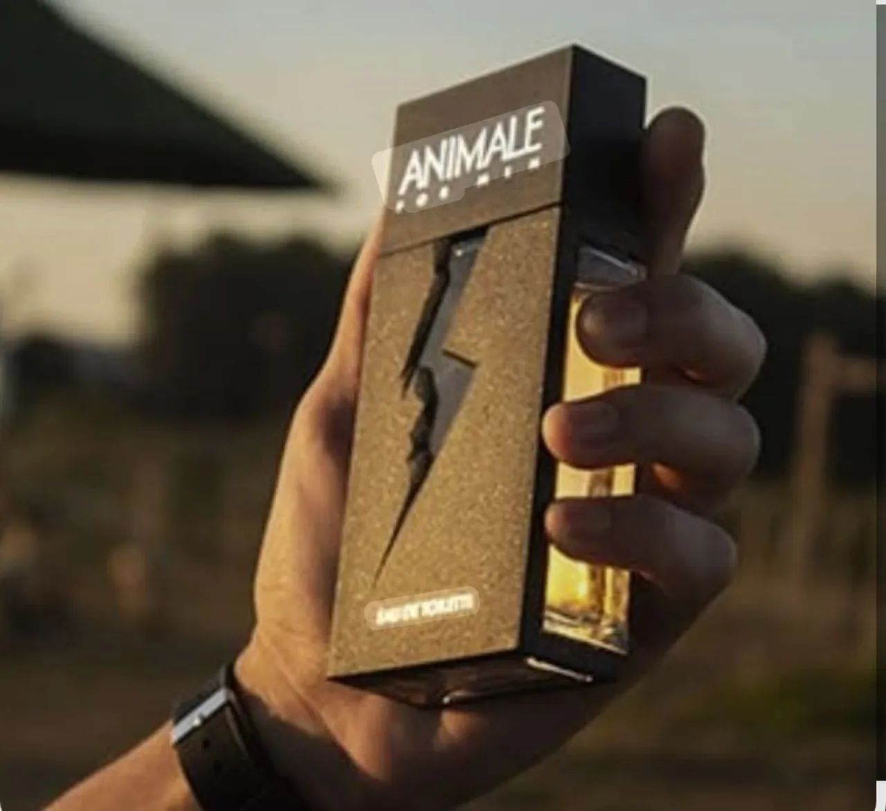 Perfume Animale For Men EDT 100ml - Foto 4