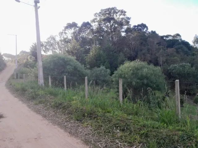 Chácara Contenda - Foto 2