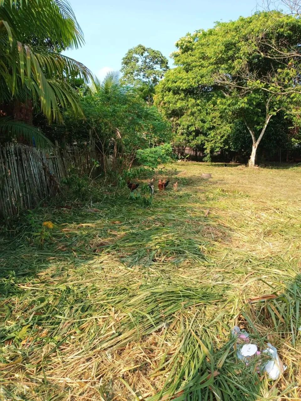 Terreno em pau darco - Foto 3