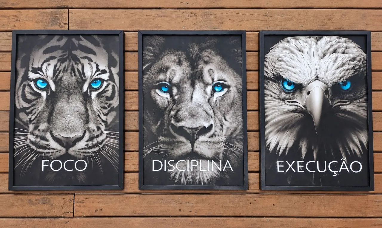 Vendo quadros muito bonitos