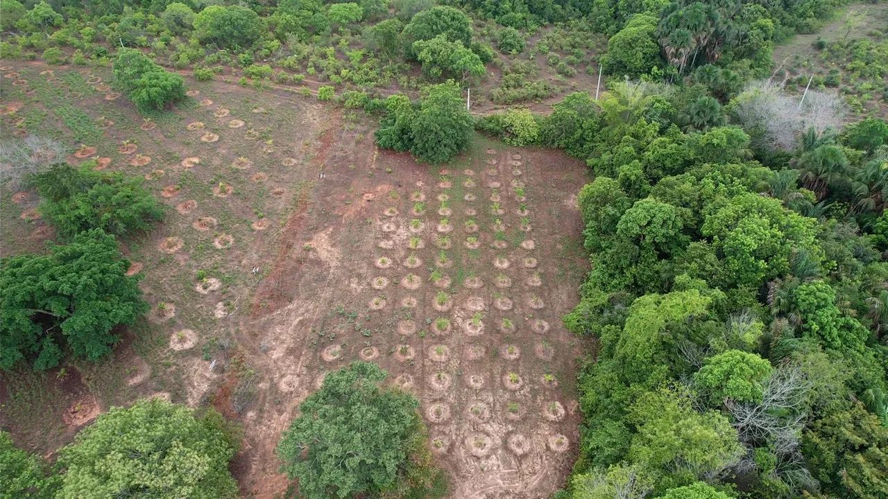Fazenda 42 alqueires a 28km de Araguaína  - Foto 2