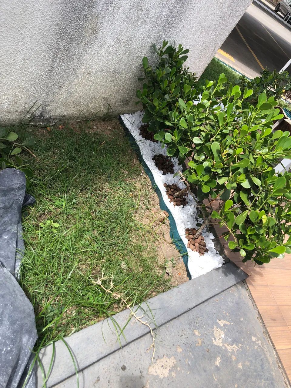 Jardineiro e paisagismo  - Foto 4