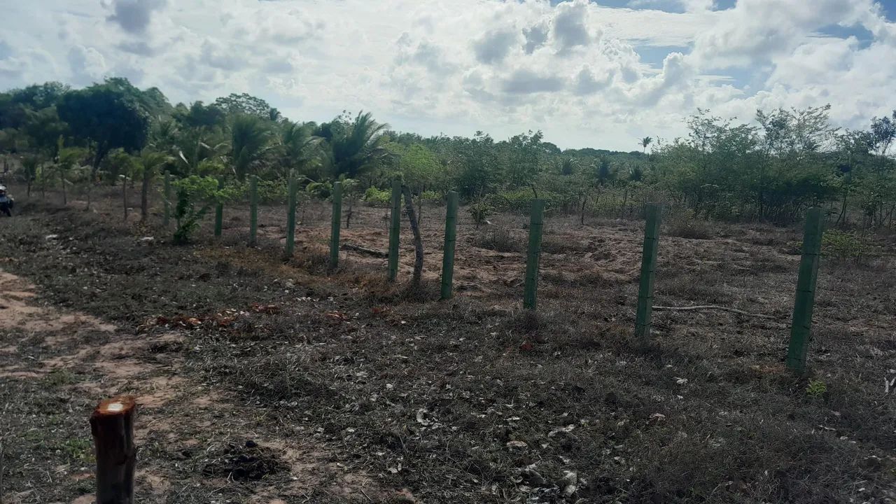 Terreno  - Foto 2