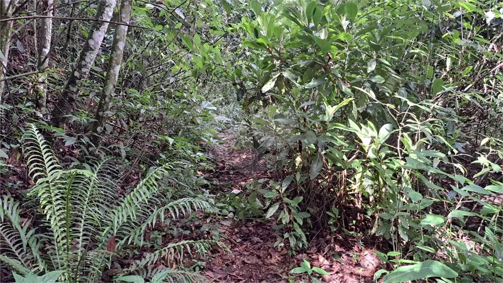 Terreno à venda em Caceia - SP - Foto 4