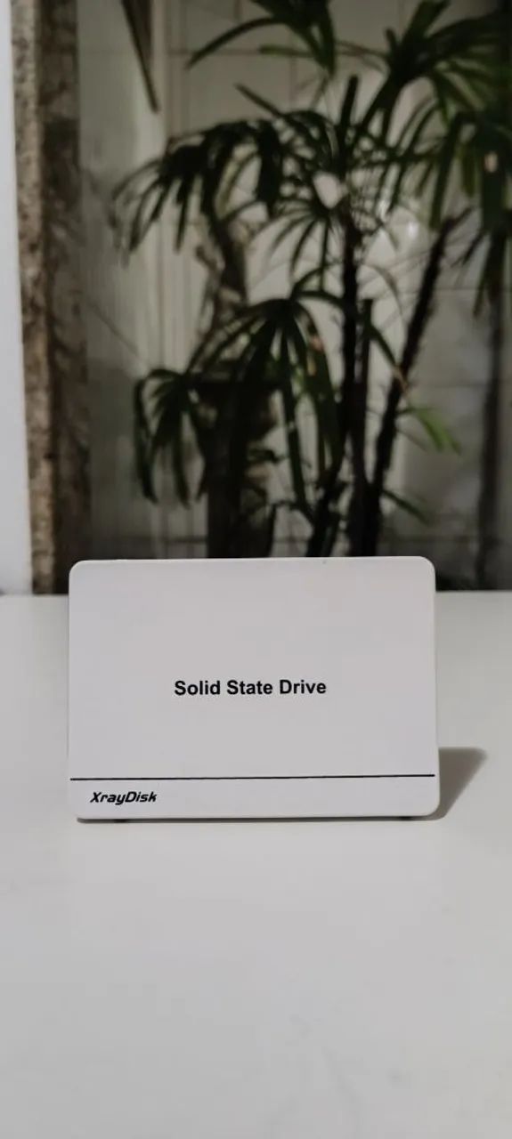 XRAYDISK SSD SATA 480GB404871381265295361