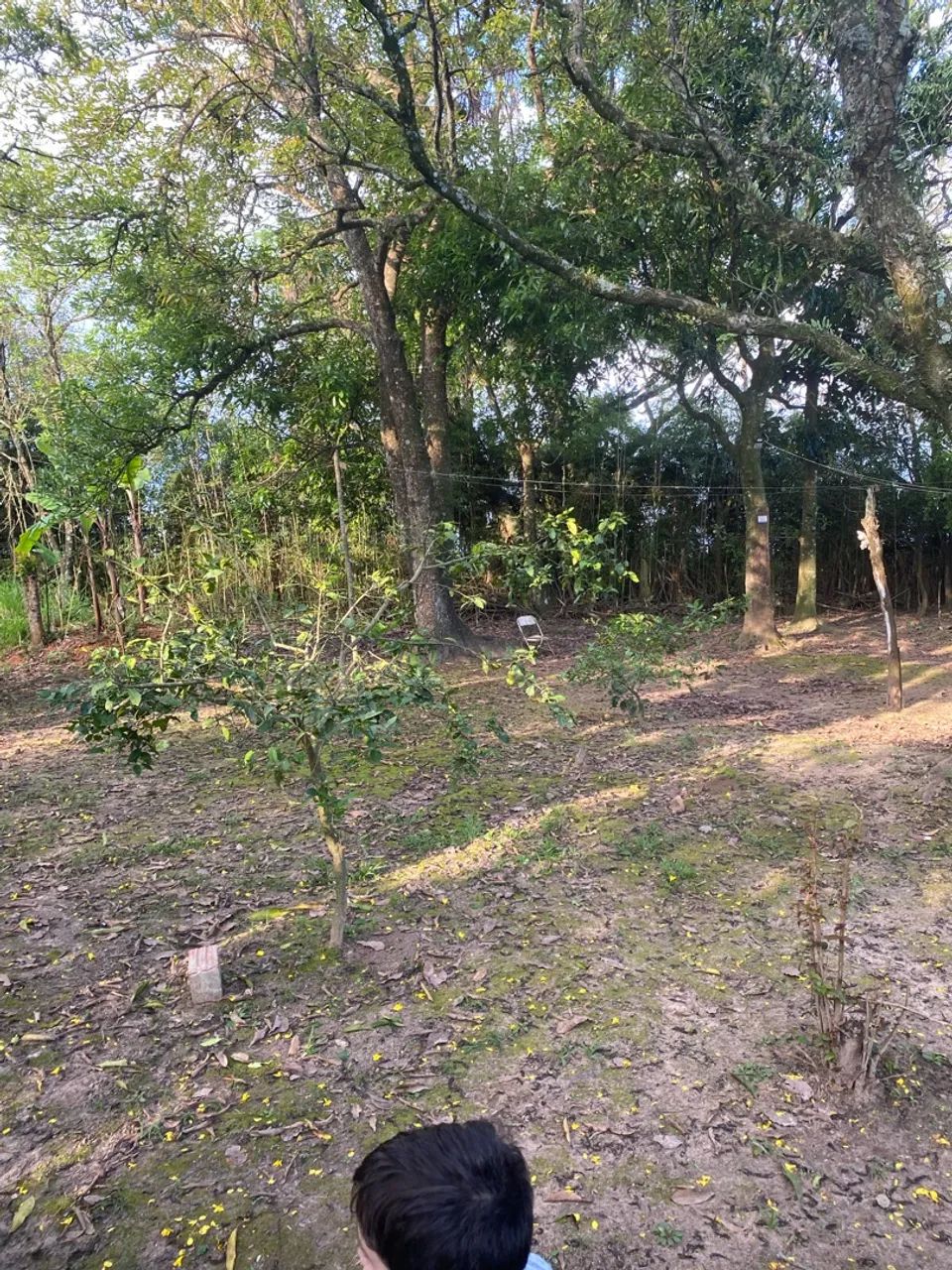Chácara em Iperó com 1400 metros - Foto 3