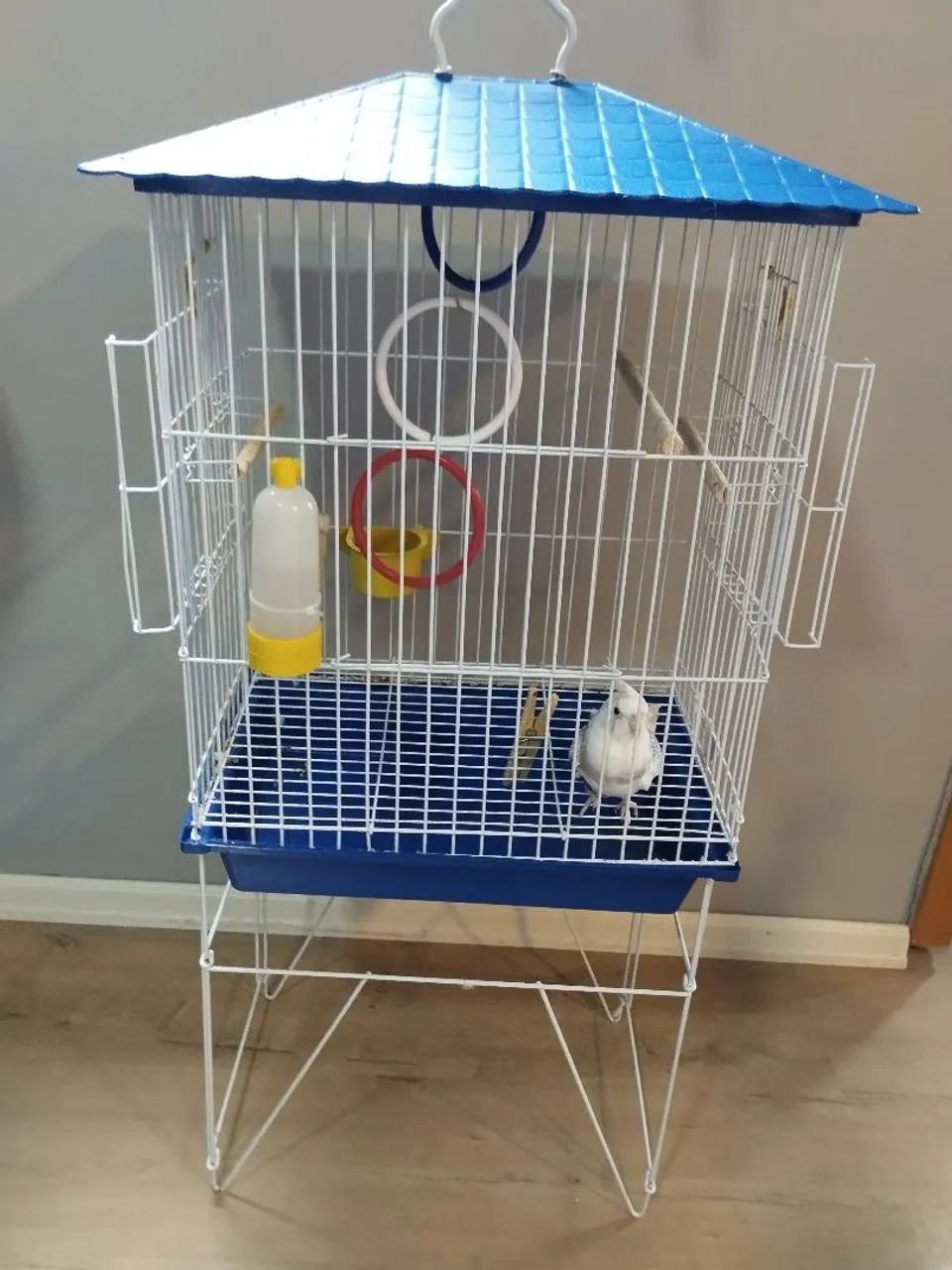 Gaiola Calopsita - Foto 4