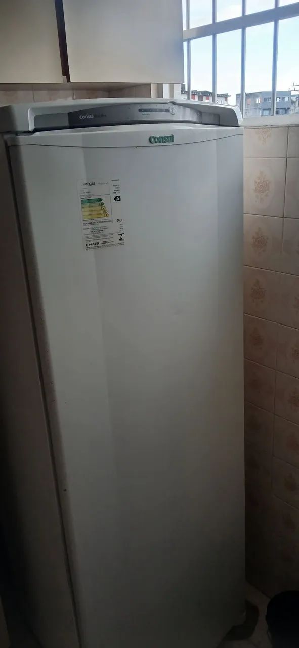 Geladeira e sofá 