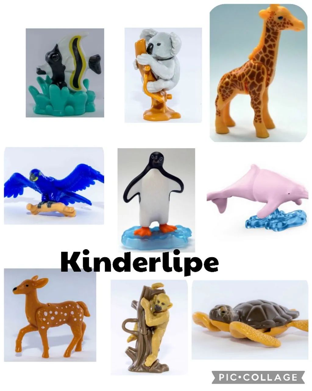 Kinder Ovo  Natoons 2024/2025
