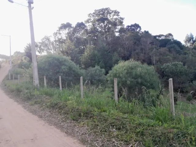 Chácara Contenda - Foto 5