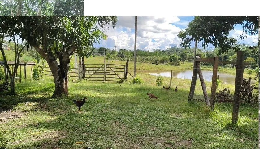 Chacra na Transacreana.  km 58