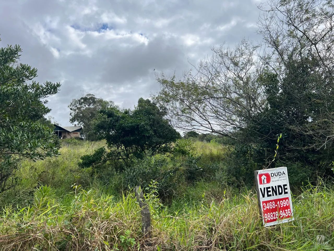Terreno à venda em Balneário Rincão - Foto 5