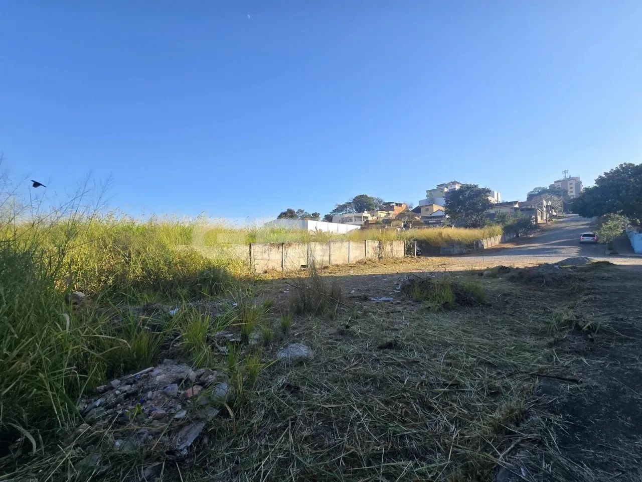 Lote à venda no bairro Ipiranga com 288 m². - Foto 3