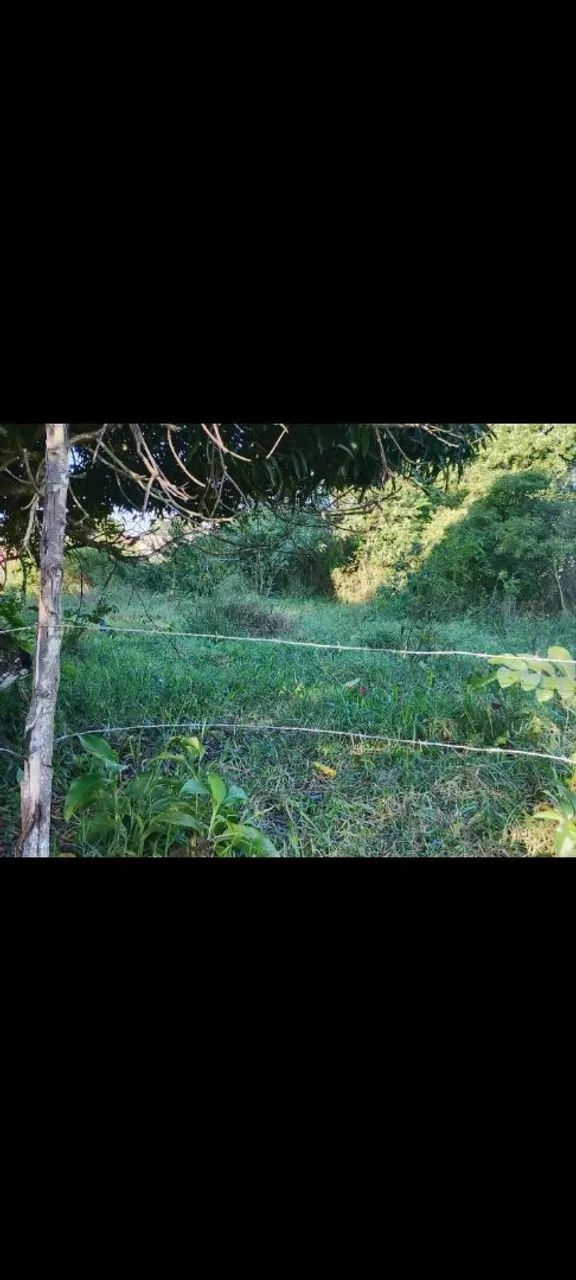 Terreno - Foto 2