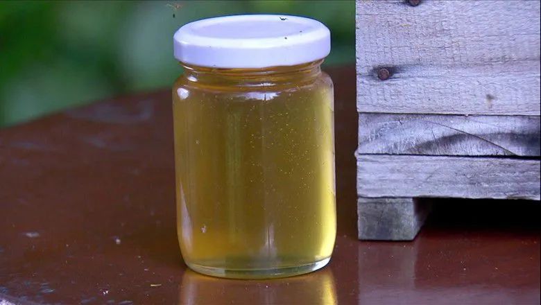 Mel Abelha Nativa Jataí Maturado 100gr