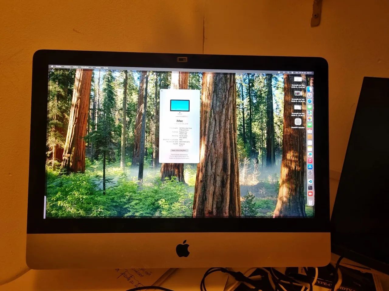 iMac 21インチ2019年カスタム imac 21 2019