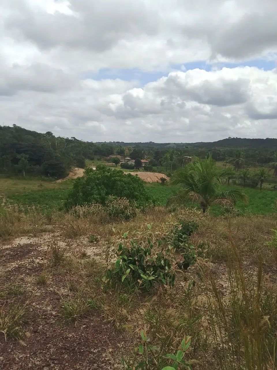 Vende-se e troca este terreno medindo 7 tarefas  - Foto 3