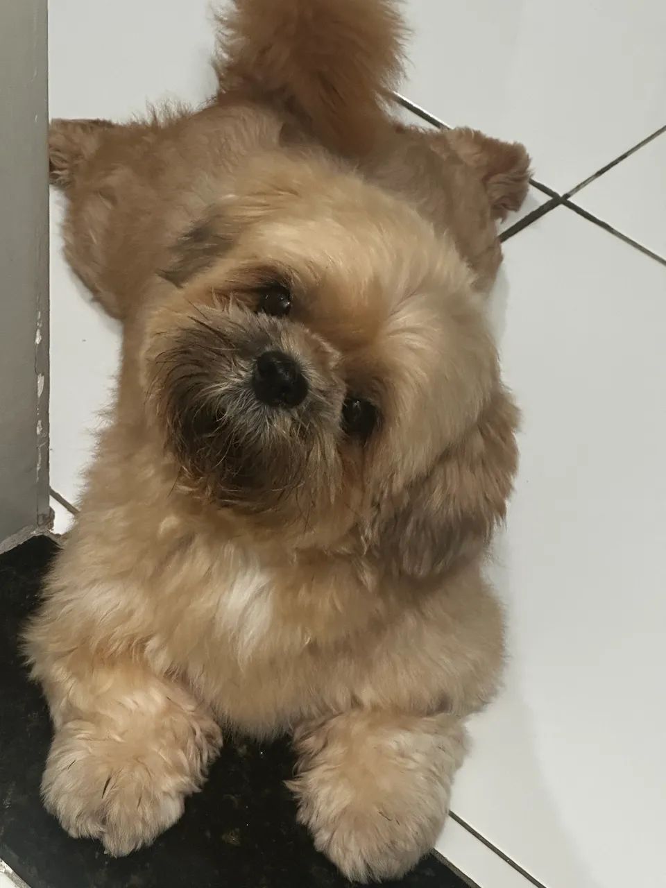 Procura-se uma namorada 