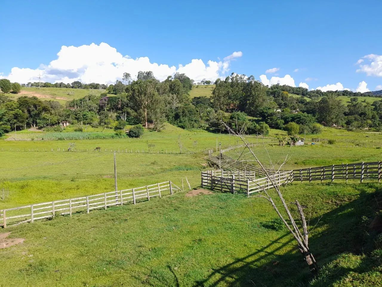 Terreno com 20 alqueires- Cambuí - MG - Foto 2