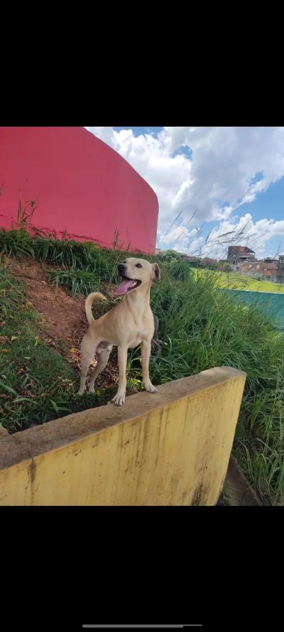 Doação 