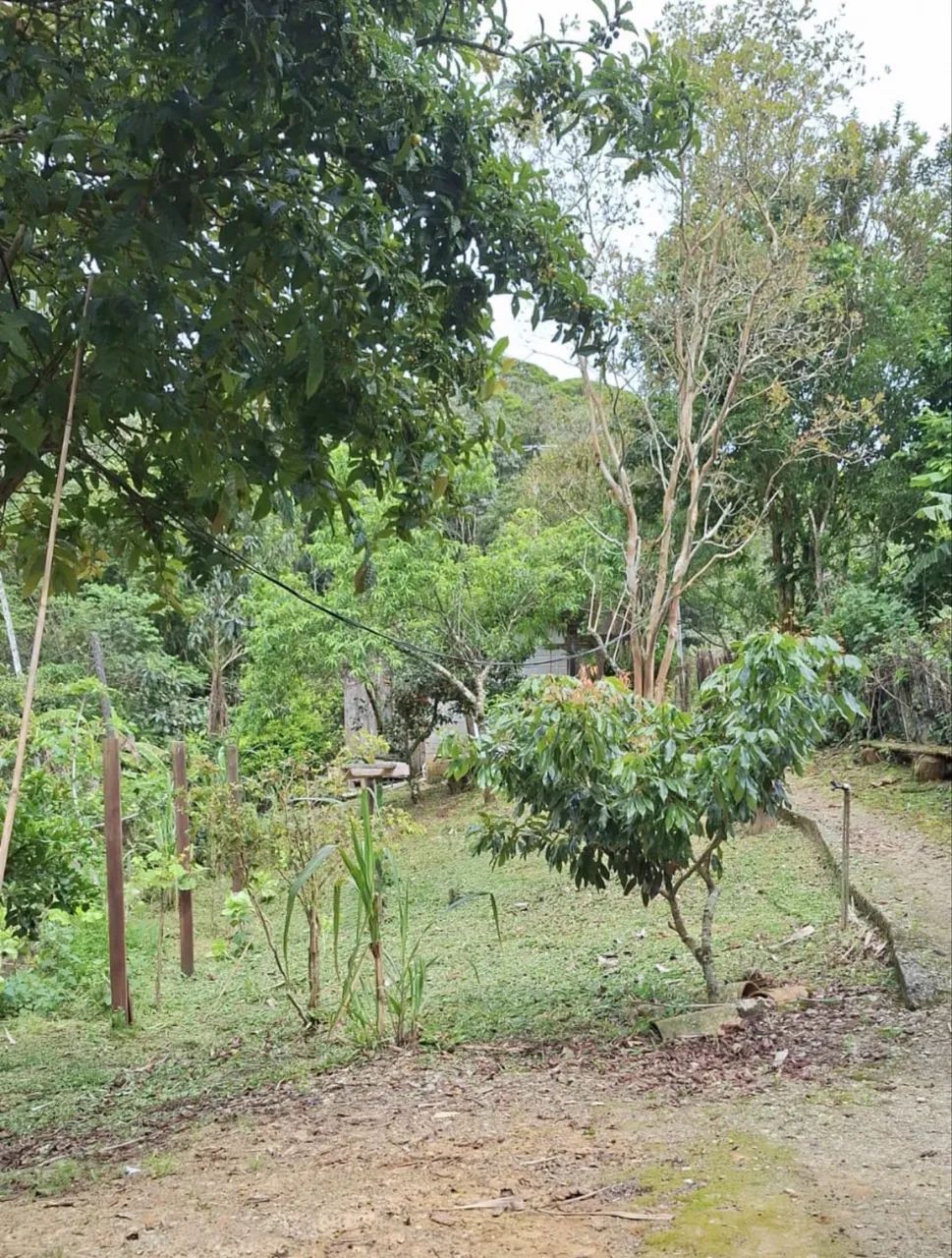 Vendo casa rural  - Foto 3