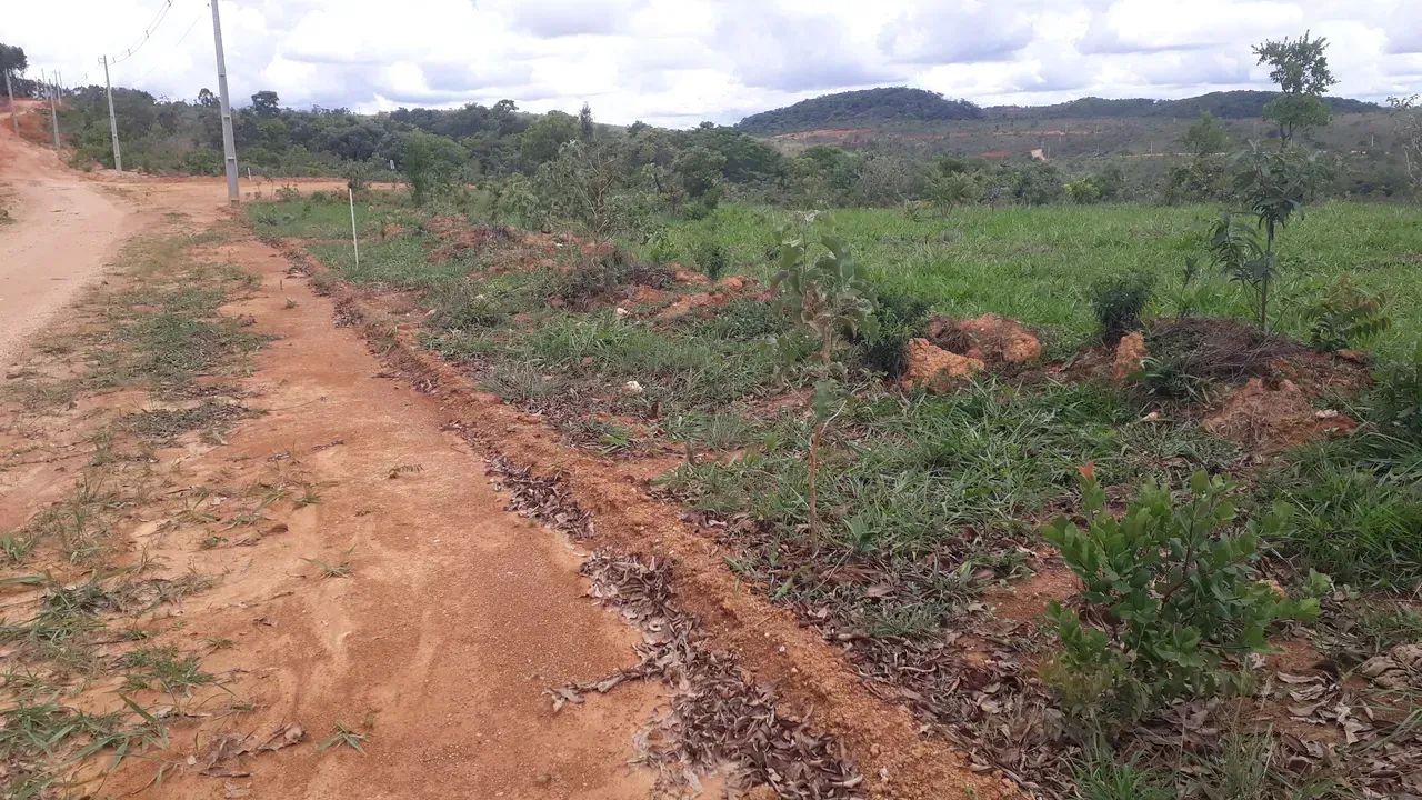 FAZENDINHAS perto do asfato em Paraopeba