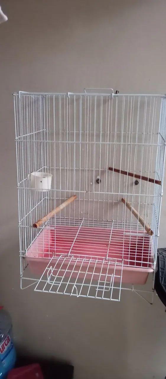 Gaiola de calopsitas  - Foto 4