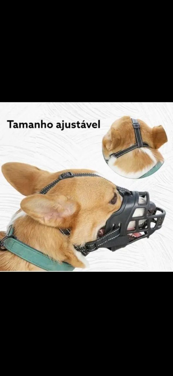 Focinheira  - Foto 4