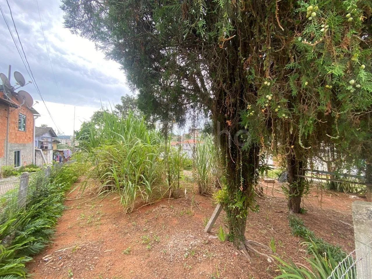 Terreno de 428,40m2 no bairro Jardim Atlântico - Foto 4