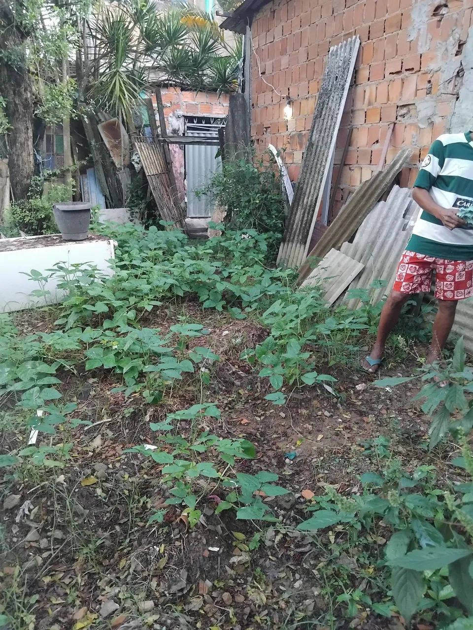 Terreno tamanho 5×8 - Foto 2