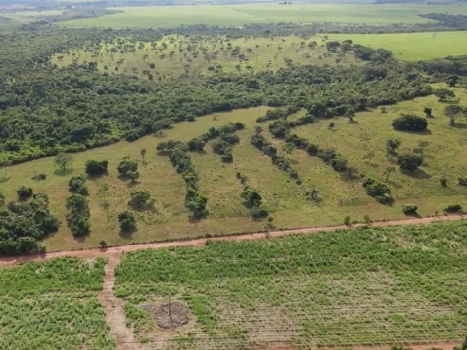 Fazenda próximo a Uberlândia 