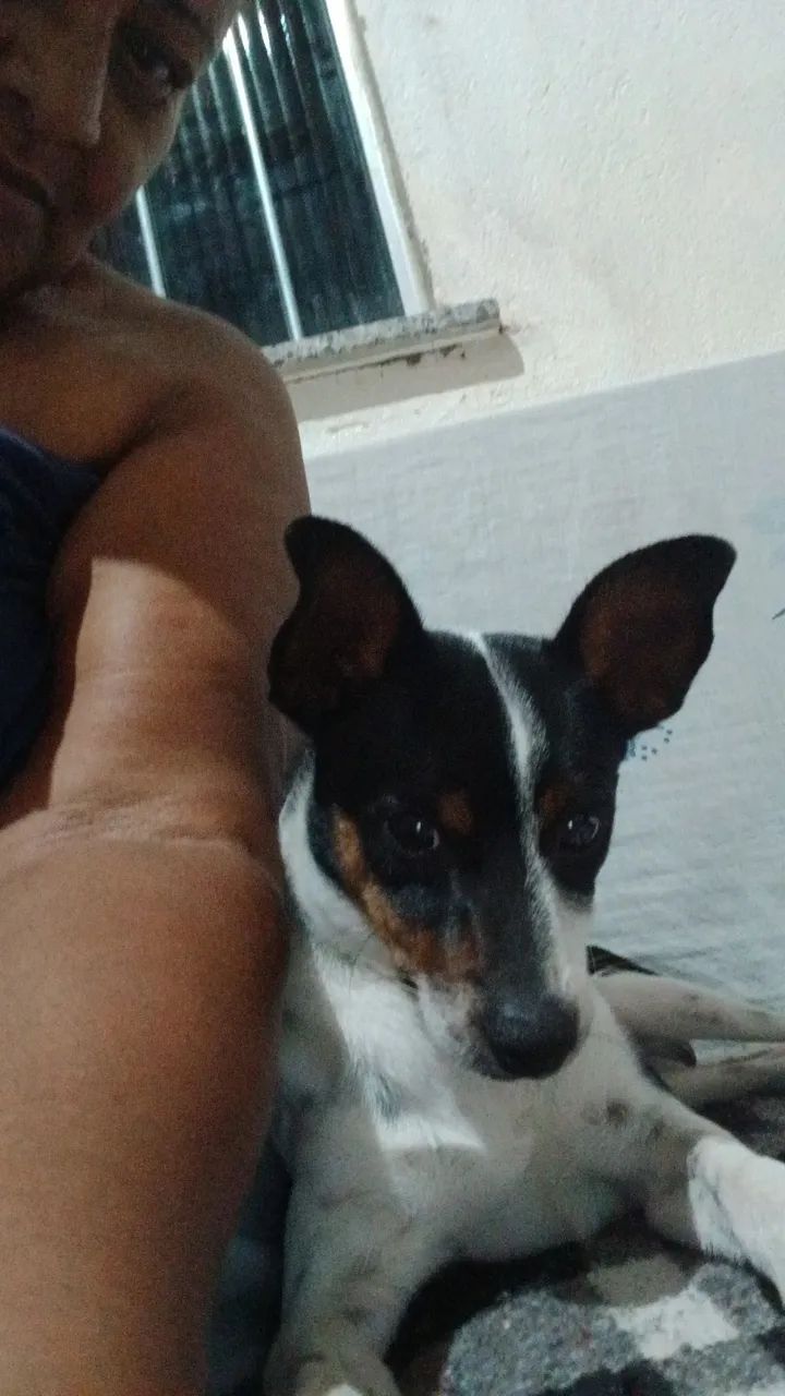 Pincher 