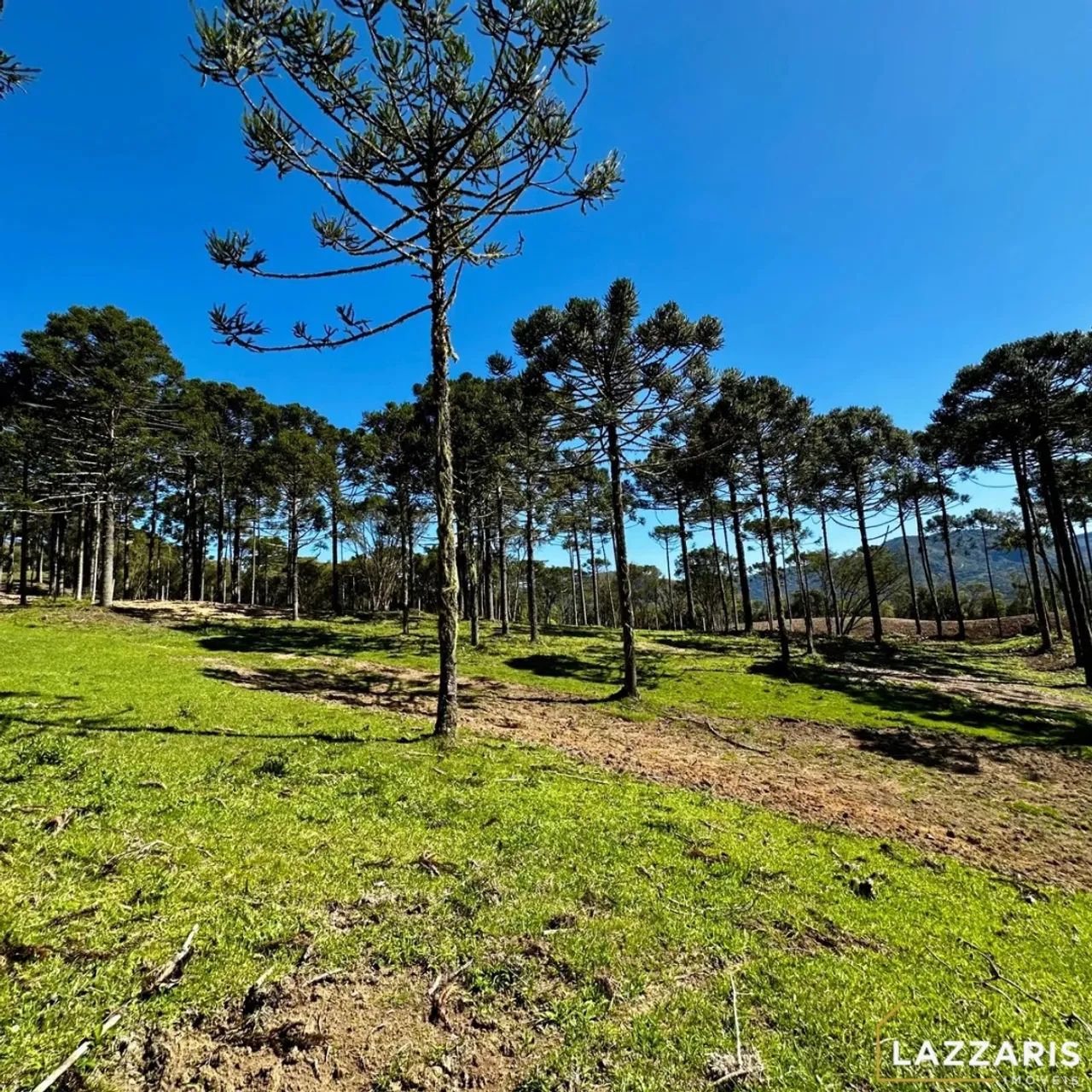 Urubici, chácara com Lago - Foto 5