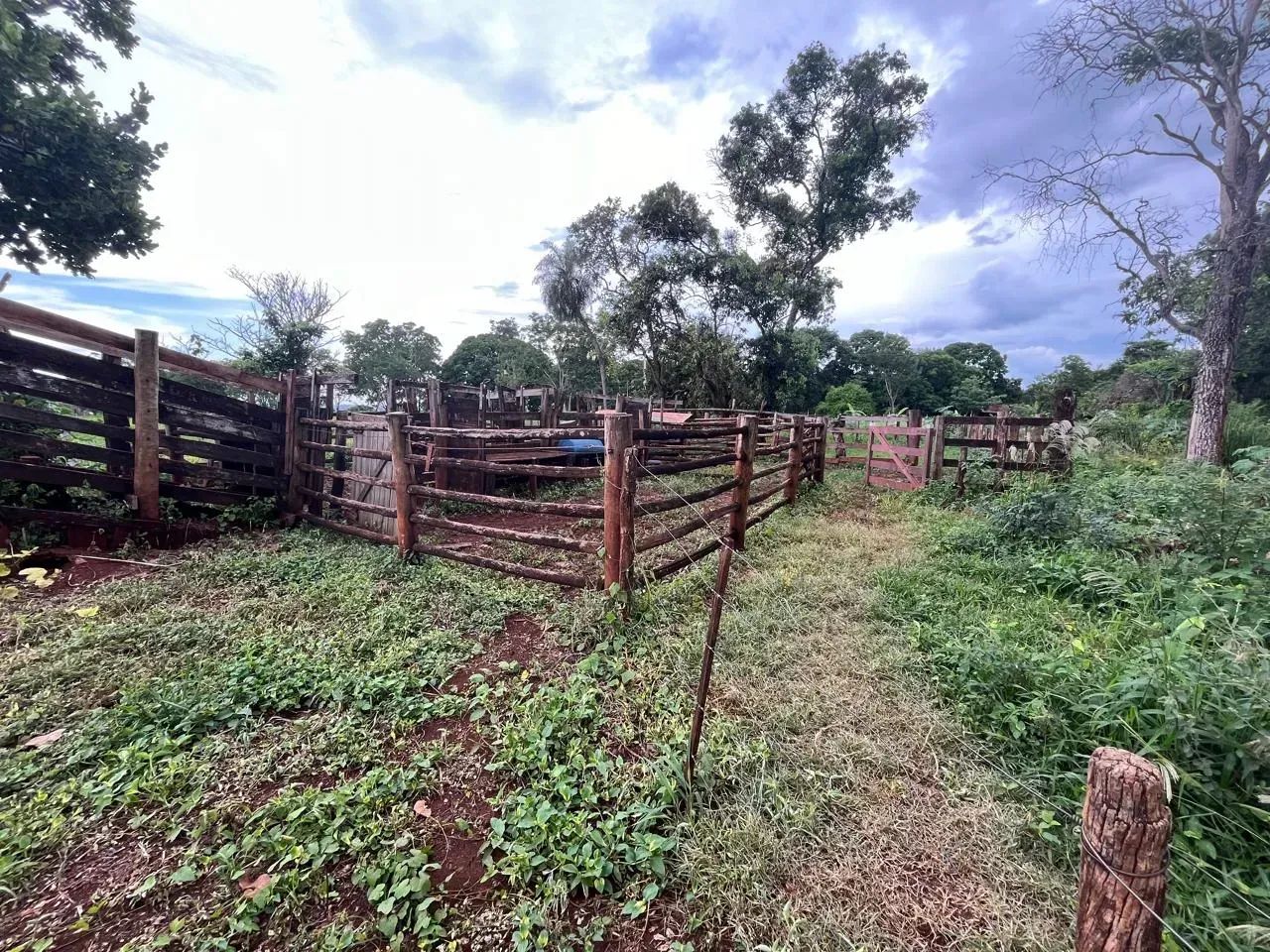 COD330  Chácara de 18,5HECTARES - Campo Grande/MS. - Foto 3