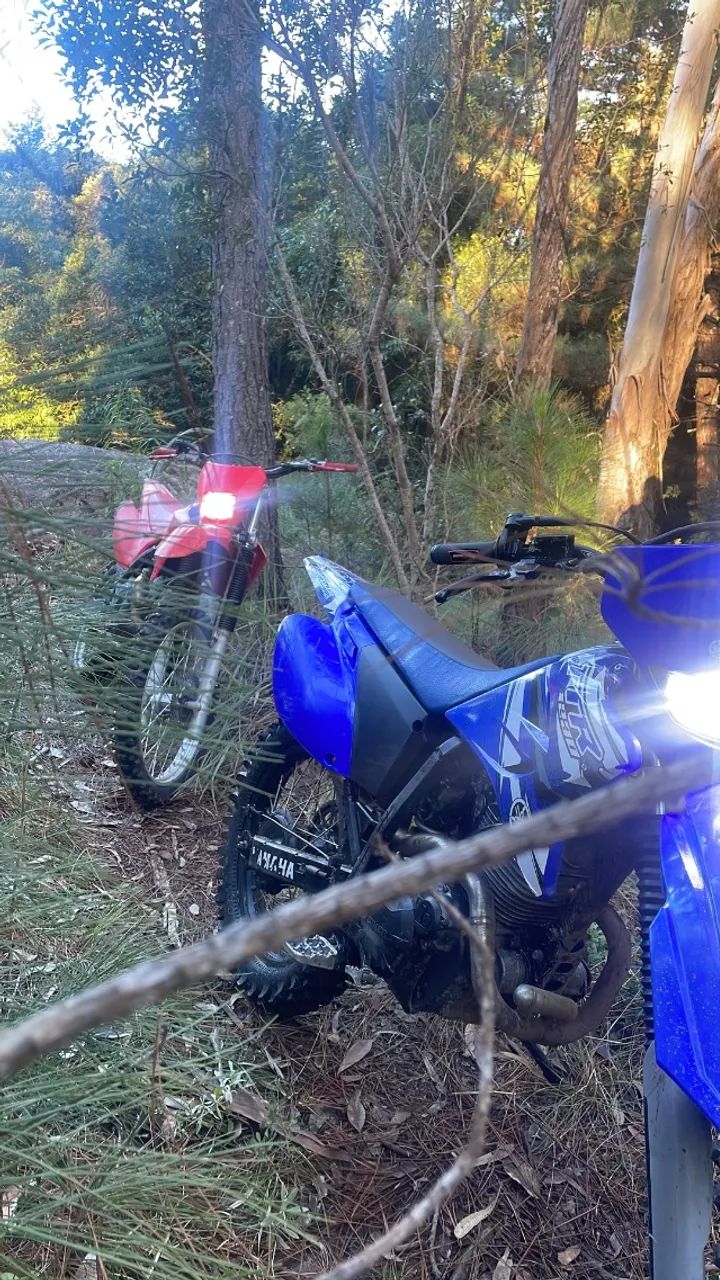 Ttr 230 - Foto 3