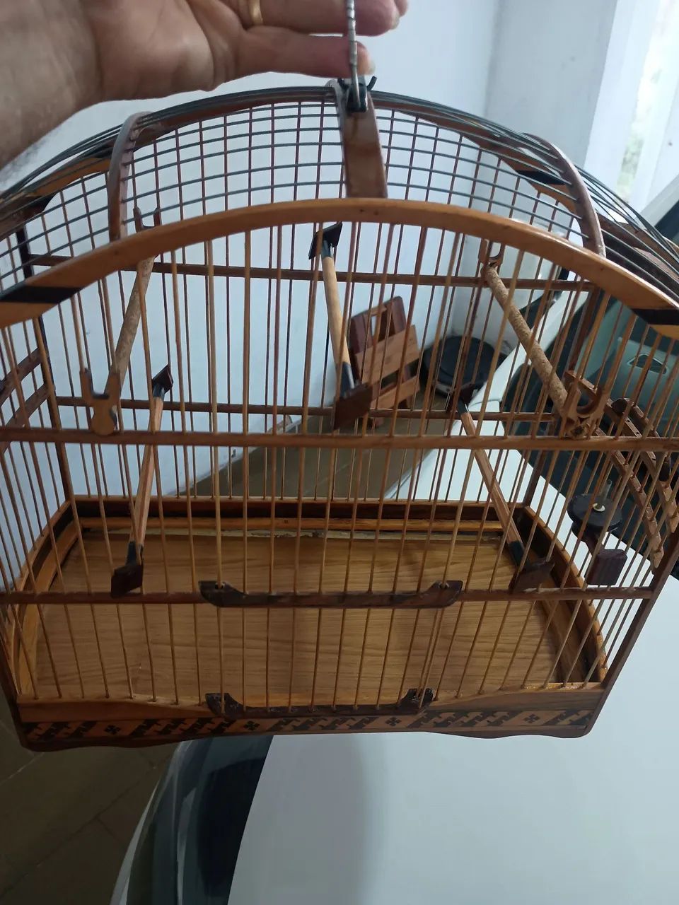Animais e acessórios  - Foto 4