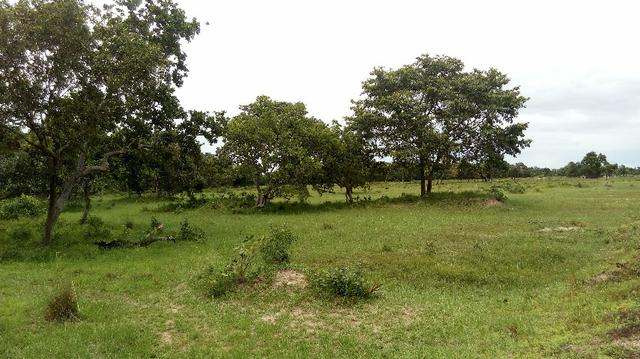 Fazenda 10 km da cidade Cuiaba - pedra 90 - Foto 12
