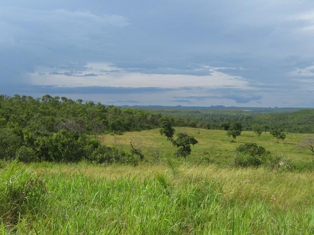 Almas-TO - Fazenda distante de Palmas 210 Km