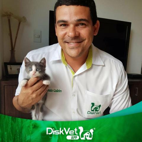 Veterinário em Domicílio - Foto 4