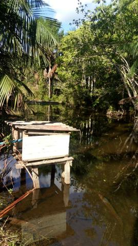 Sítio no Rio Preto da Eva - Foto 5