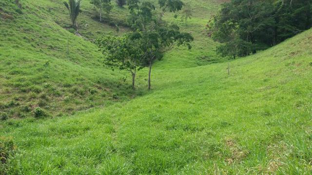 10.000m2 próximo a São paulinho de Viana - Foto 2