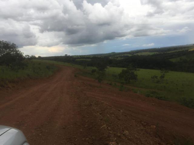 4 Alqueires c/ Rio p/ Lotear, Haras, Lazer, Gado. 40 km Anápolis-GO - Foto 15
