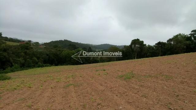 Maravilhosa área de 31.800m² totalmente aproveitáveis - Foto 3