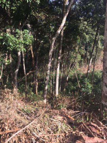 Terreno residencial à venda, Prata, Teresópolis. - Foto 11