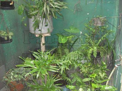 Casa à venda com 3 dormitórios em Alves dias, São bernardo do campo cod:28417 - Foto 8